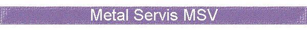 Metal Servis MSV